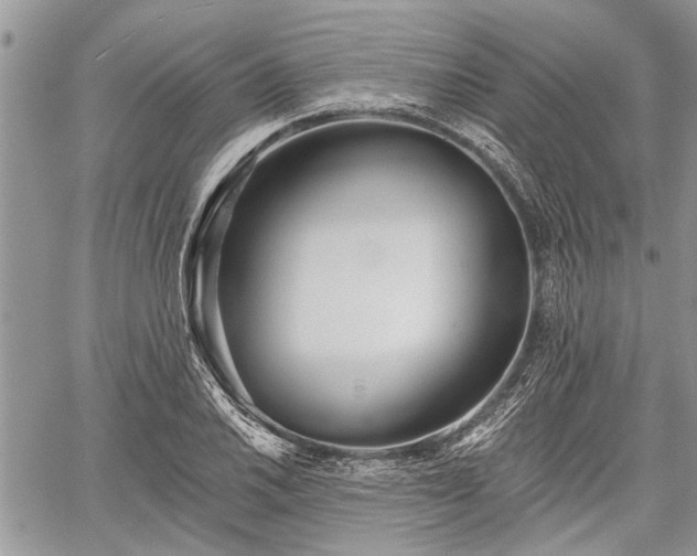 X0000059821030200510241350