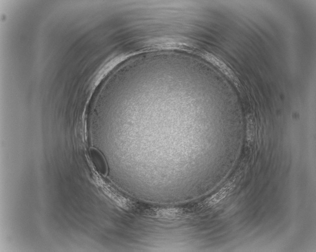 X0000059821031200510241350