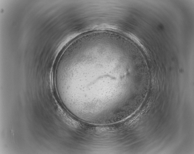 X0000059821032200510241350