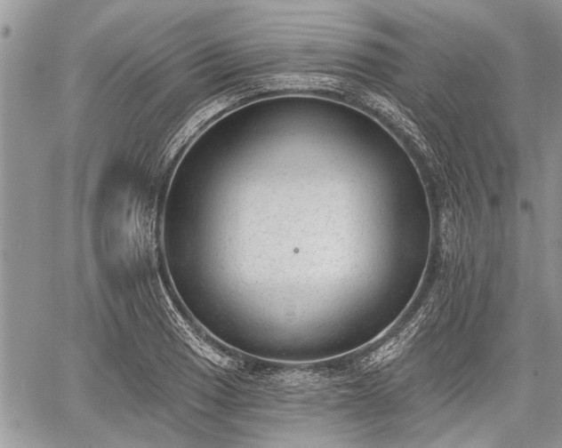 X0000059821033200510241350