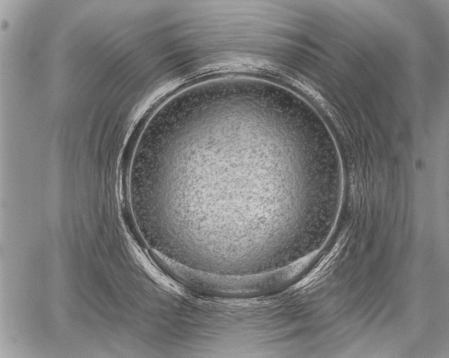 X0000059821034200510241350