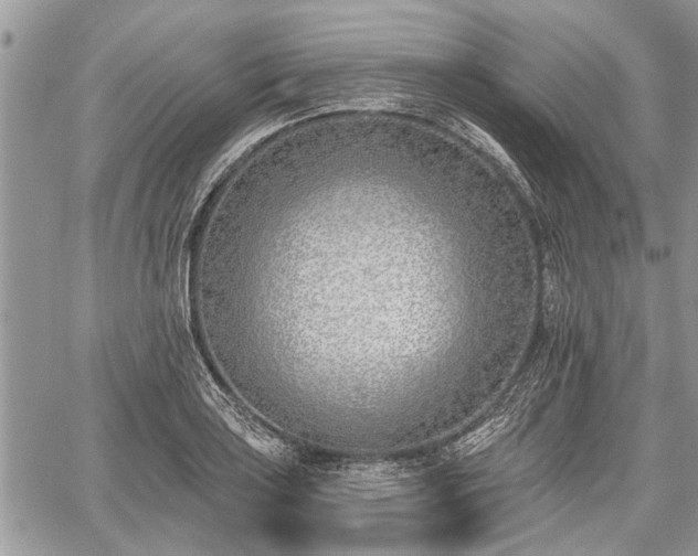 X0000059821035200510241350