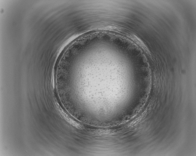 X0000059821036200510241350