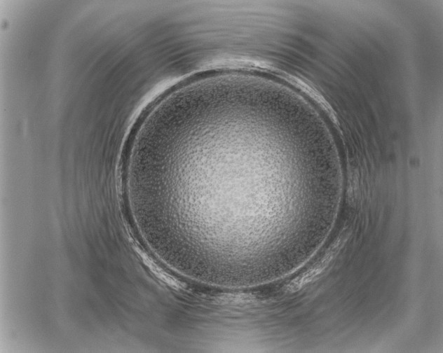 X0000059821037200510241350