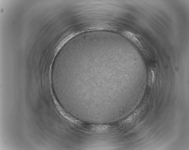 X0000059821039200510241350