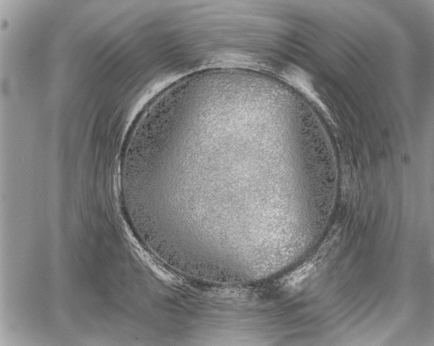 X0000059821040200510241350