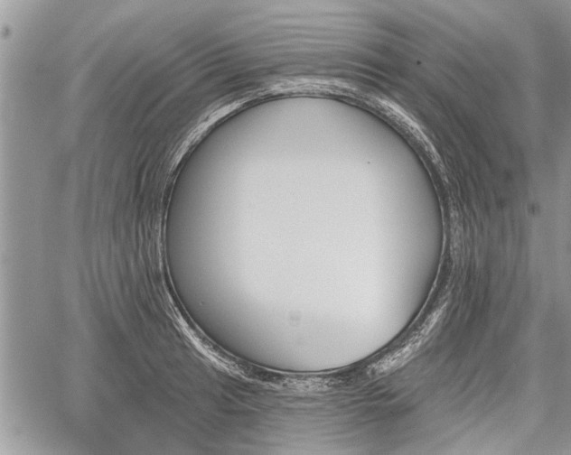 X0000059821041200510241350