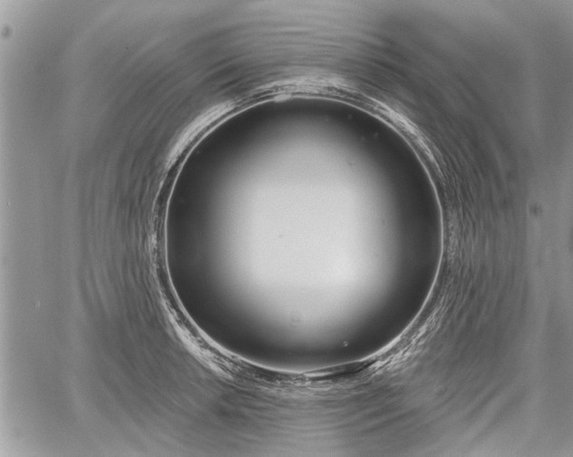 X0000059821042200510241350