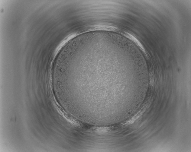 X0000059821043200510241350