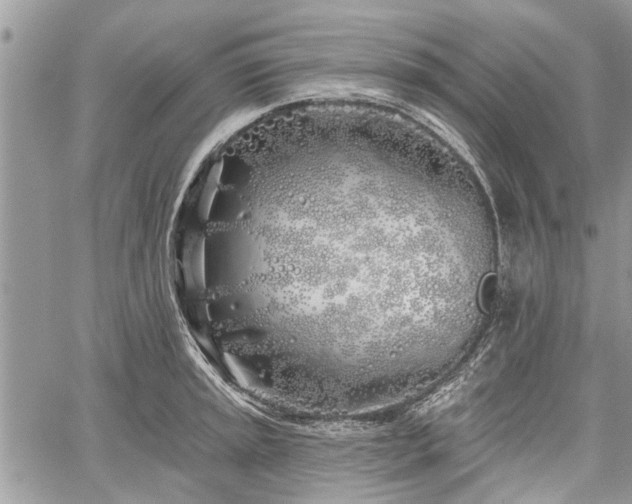 X0000059821045200510241350