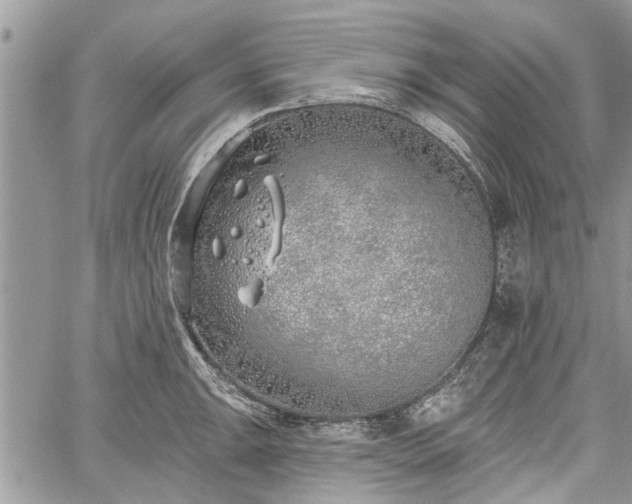 X0000059821047200510241350