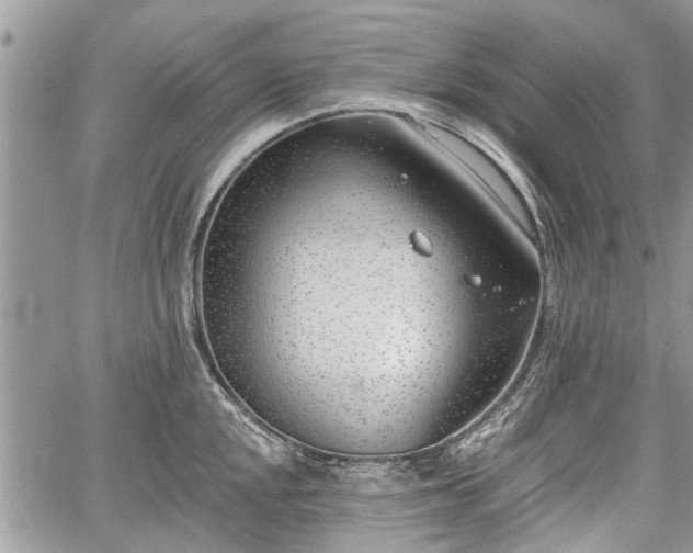 X0000059821048200510241350