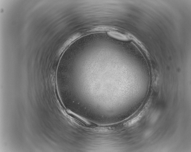 X0000059821049200510241350