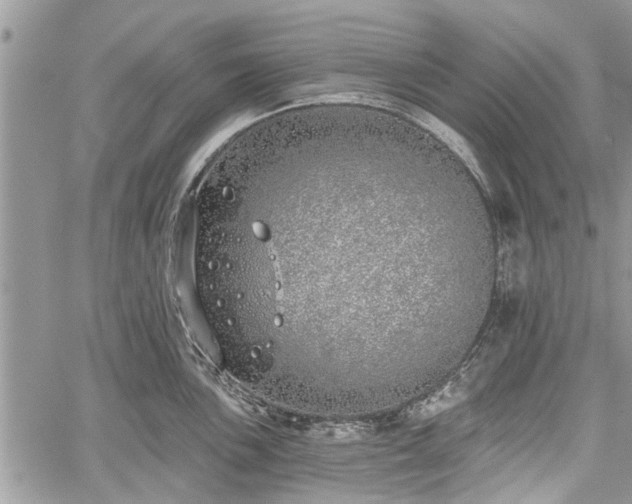 X0000059821051200510241351