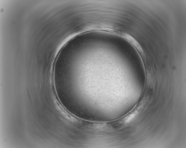 X0000059821052200510241351