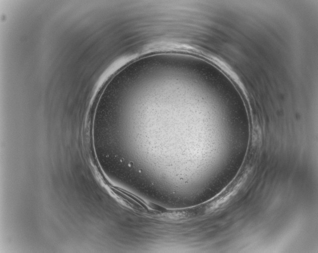 X0000059821053200510241351