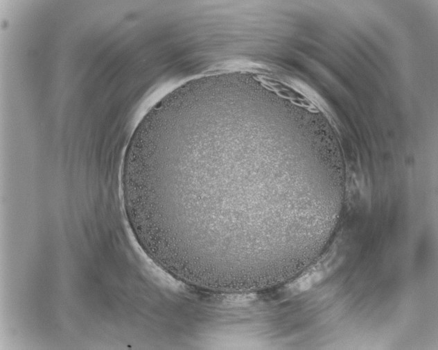 X0000059821055200510241351