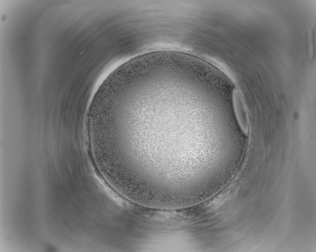 X0000059821056200510241351