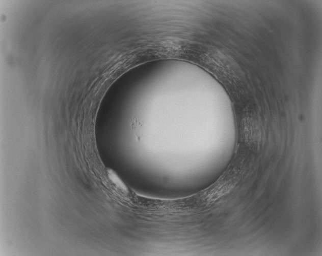 X0000059821057200510241350