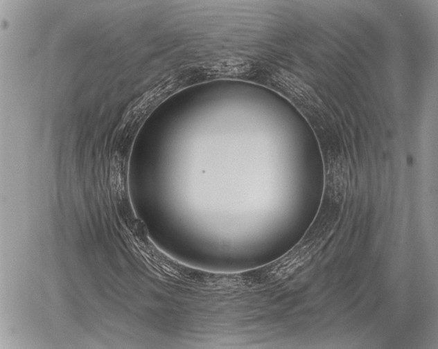 X0000059821058200510241350