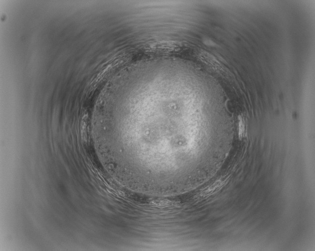 X0000059821059200510241350