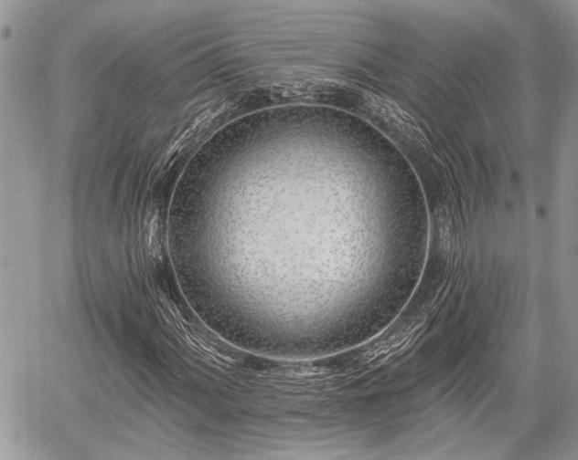 X0000059821060200510241350