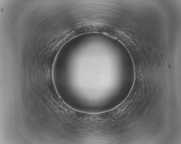 X0000059821061200510241350