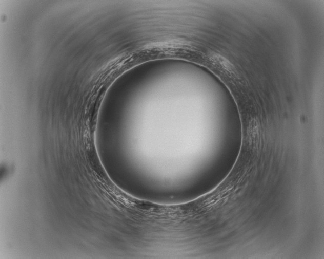 X0000059821062200510241350