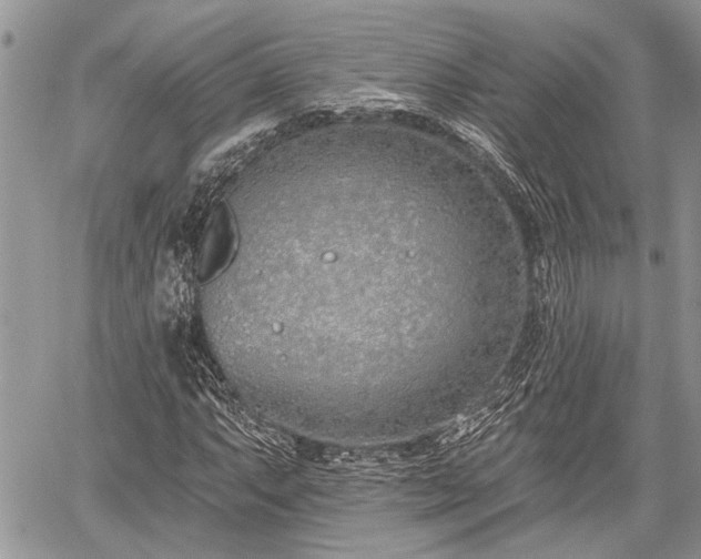 X0000059821063200510241350