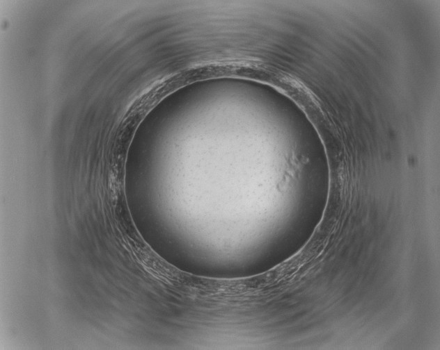 X0000059821064200510241350