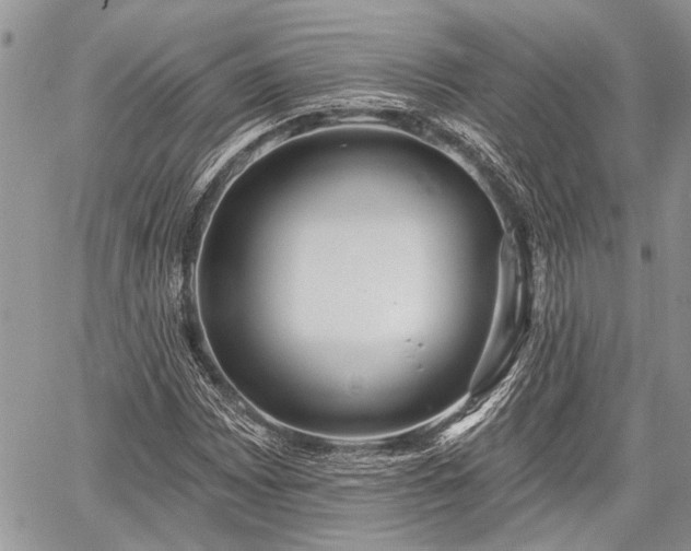 X0000059821065200510241350