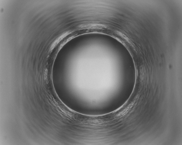 X0000059821066200510241350