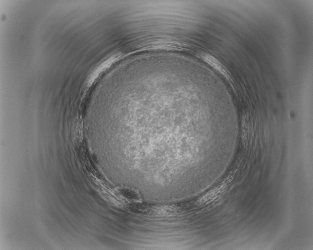 X0000059821067200510241350