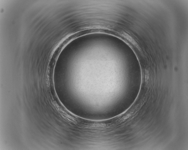 X0000059821068200510241350