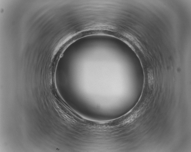 X0000059821069200510241350