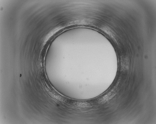 X0000059821070200510241350