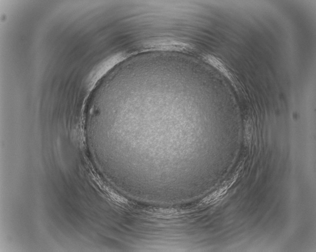 X0000059821071200510241350