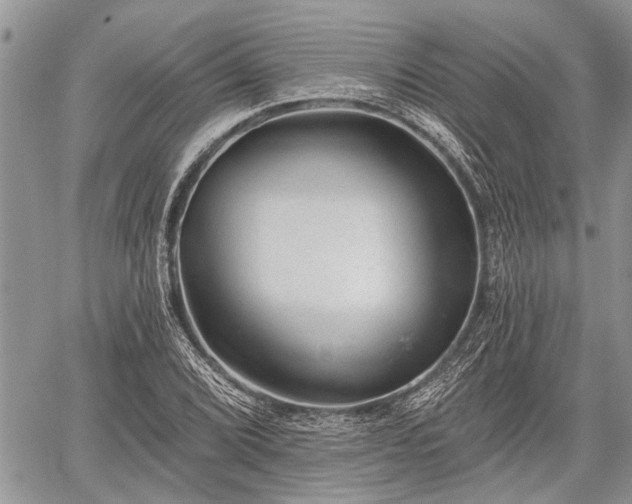 X0000059821072200510241350