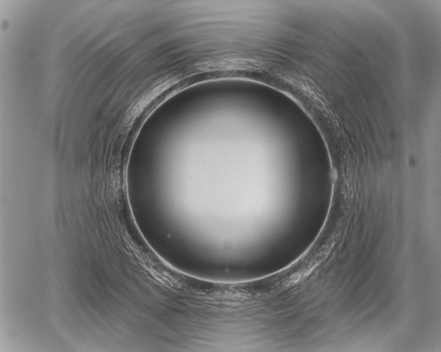 X0000059821073200510241350