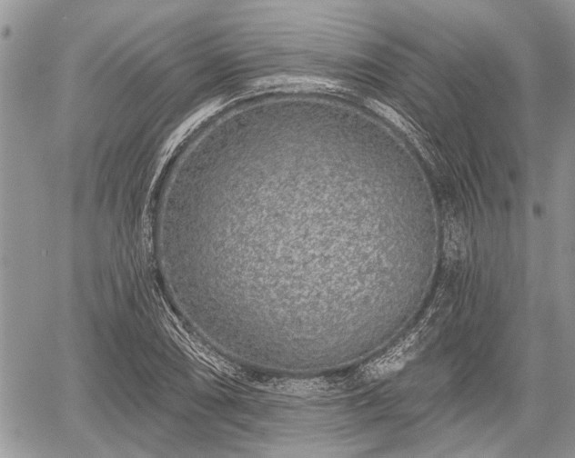 X0000059821074200510241350