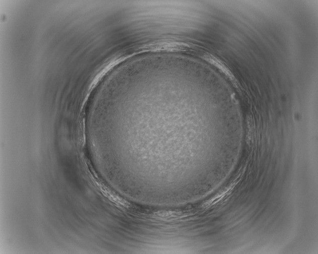 X0000059821075200510241350