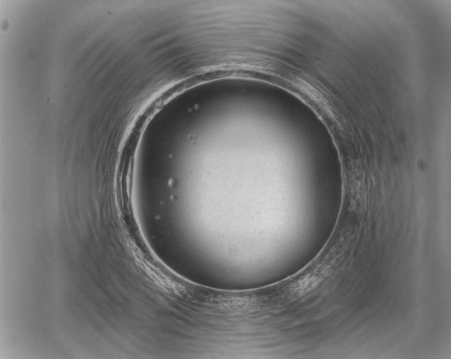 X0000059821076200510241350