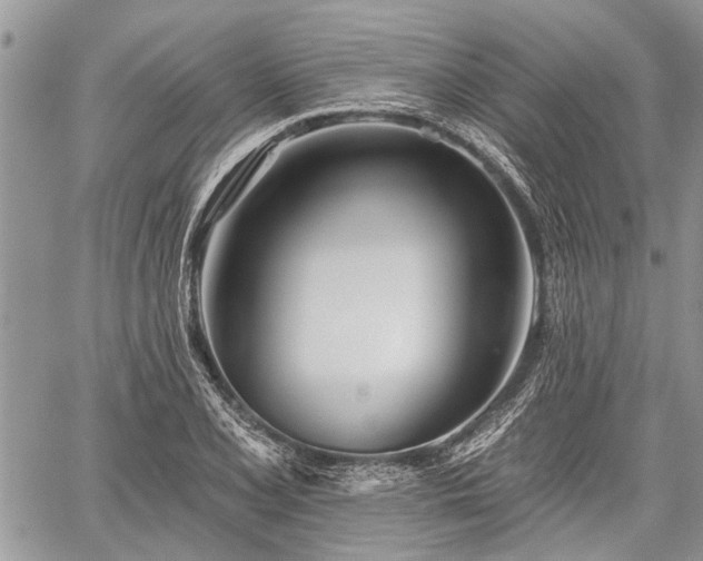 X0000059821077200510241349