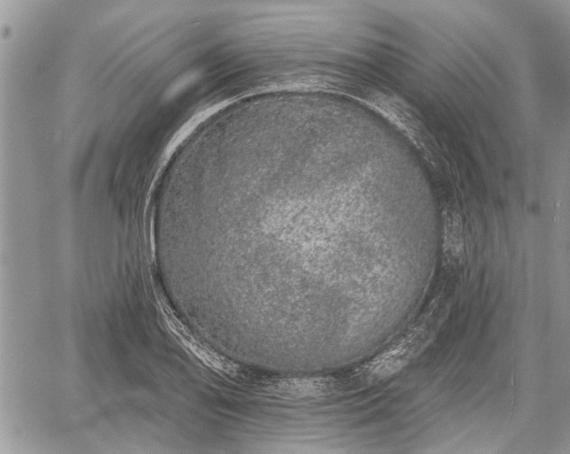 X0000059821078200510241349