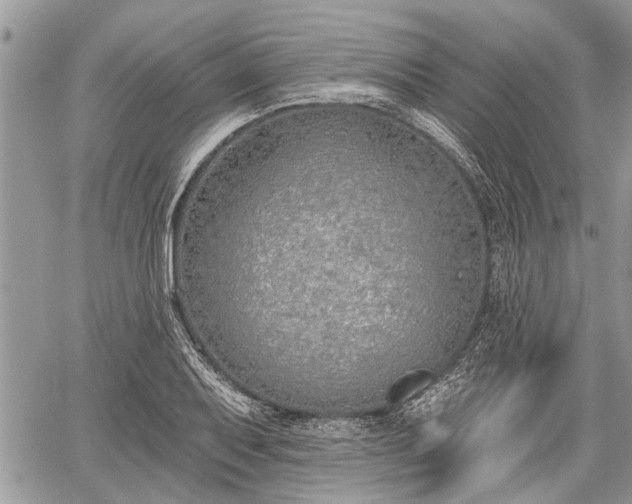 X0000059821079200510241349