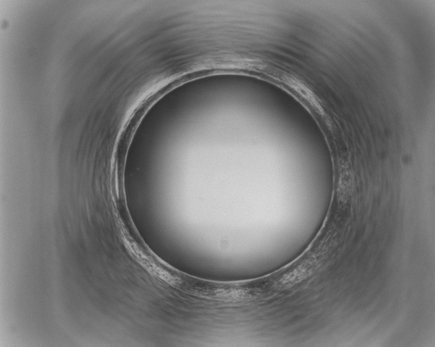 X0000059821080200510241349