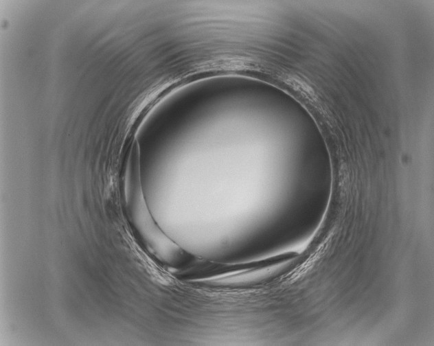 X0000059821081200510241349