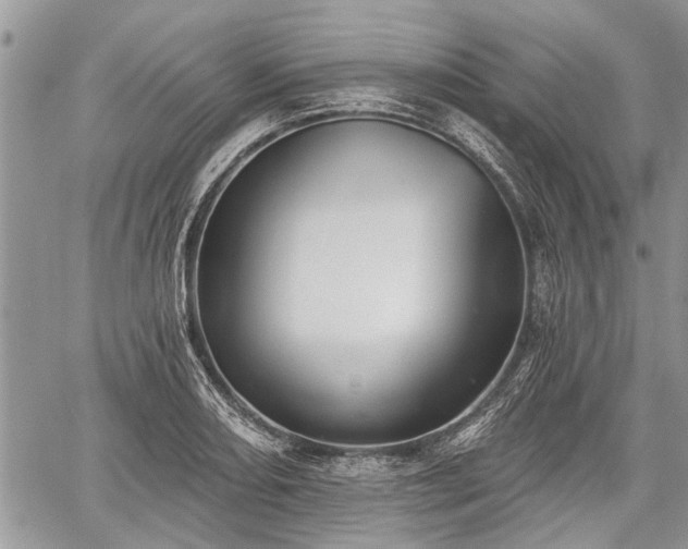 X0000059821082200510241349