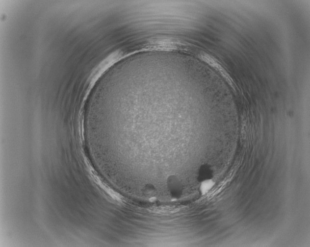 X0000059821083200510241349