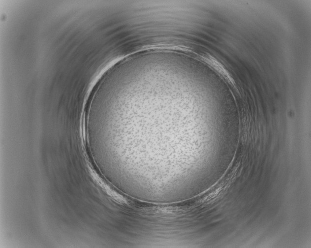 X0000059821084200510241349